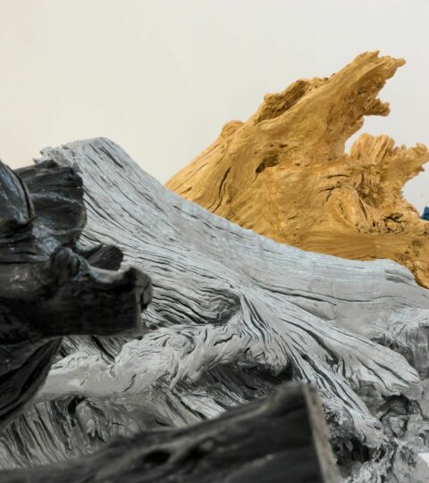 H | HOLZWURZEL | Foto: Daniel Rothen Mit gelbem und silbernem Autolack überzogene Holzwurzeln.