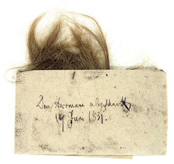 Haarlocke von Herman Grimm | Sonderausstellung | Im Dickicht der Haare | Foto: Harry Soremski