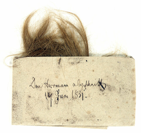 Haarlocke von Herman Grimm | Sonderausstellung | Im Dickicht der Haare | Foto: Harry Soremski Haarlocke von Herman Grimm in beschriftetem Umschlag mit der Aufschrift „Dem Herman abgeschnitten 19. Juni 1831“ von Jacob Grimms Hand, 1831