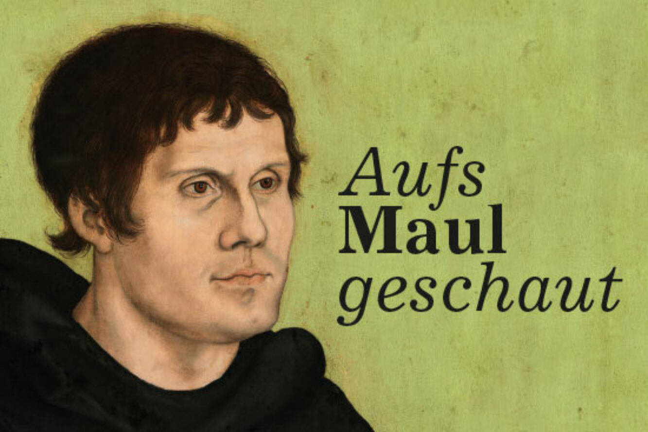 Sonderausstellung - Aufs Maul geschaut