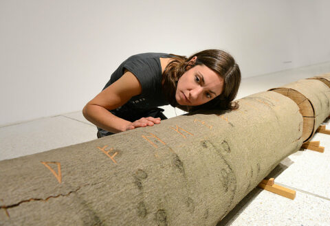 Sonderausstellung - Aufs Maul geschaut | Foto: Nils Klinger Frau betrachtet Installation in der Sonderausstellung