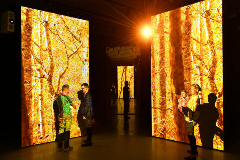 Sonderausstellung - FinsterWald - Blick in die Ausstellung | Foto: Nils Klinger Blick in die Sonderausstellung - FinsterWald