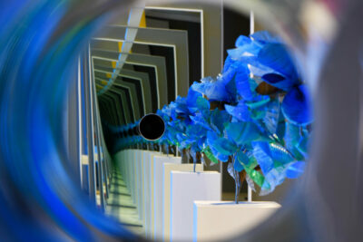 Ausstellung »Rotes Käppchen, blauer Bart« | Blaue Blume | Foto: Nils Klinger Blau steht auch für die Unendlichkeit, die unerfüllbare Sehnsucht, deshalb ist die blaue Blume Sinnbild der Romantik.