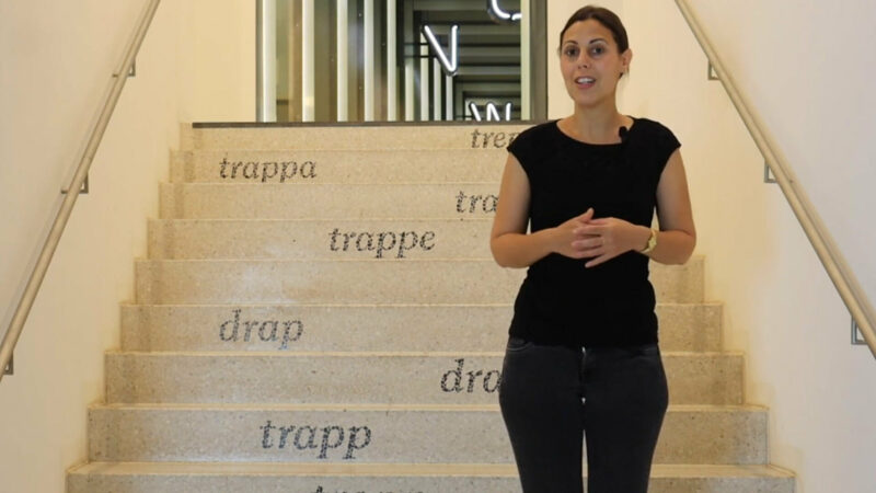 Grimmsche Sprachwissenschaft Grimmsche Sprachwissenschaft