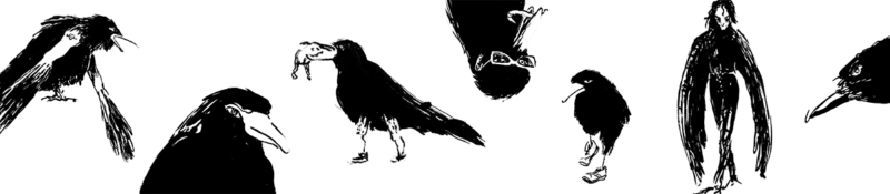 DrachenFels | Die sieben Raben | © Henrik Schrat Strichzeichnungen von sieben Raben, einer hält im Schnabel einen Frosch, ein anderer trägt Turnschuhe