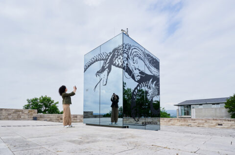 DrachenFels | DrachenKampf: »Die Anderen« | Foto: Nikolaus Frank Der verspiegelte Fahrstuhl auf dem Dach der GRIMMWELT, beklebt mit dem siebenköpfigen Drachen, im Fahrstuhl spiegelt sich eine davor stehende Frau