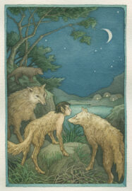 03 Helga Gebert Illustration Der Knabe der ein Wolf wurd c Helga Gebert 03 Helga Gebert Illustration Der Knabe der ein Wolf wurd c Helga Gebert