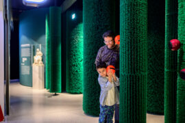 12. Dornenhecke | © GRIMMWELT Kassel | Foto: Sascha Mannel Dornröschens Hecke | Hier erklingen die Stimmen des Waldes und führen den Besucher in das Labyrinth von Dornröschens Hecke.