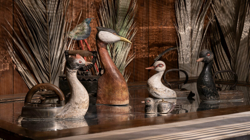 Veronika Podzimkova | Tschechischer Teich Veronika Podzimkova | Tschechischer Teich