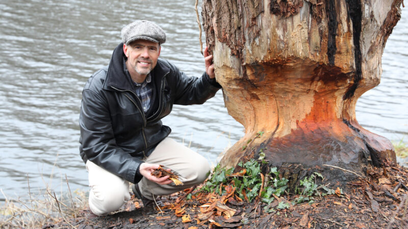 Wildtiere in der Großstadt | Derk Ehlert Wildtiere in der Großstadt | Derk Ehlert