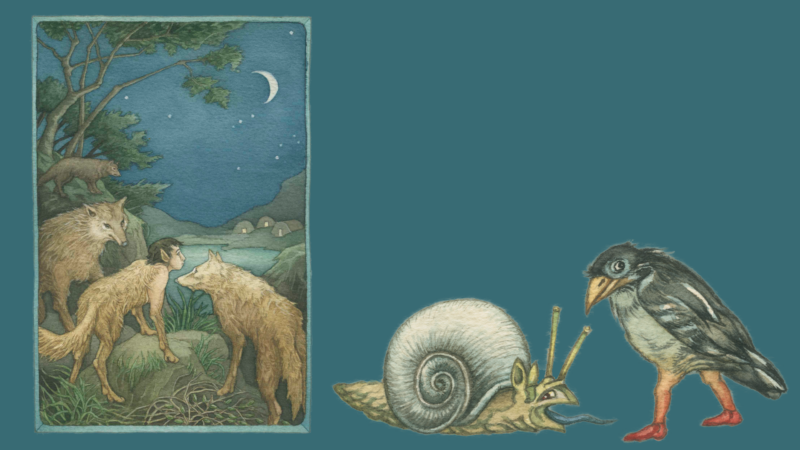 Märchenstunde | Märchen der Verwandlung - Illustrationen Helga Gebert Märchenstunde | Märchen der Verwandlung - Illustrationen Helga Gebert