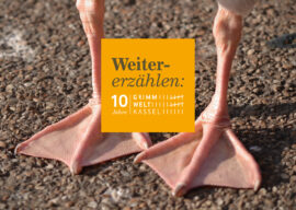 10 Jahre GRIMMWELT Kassel | Motiv Gans Gänsefüße