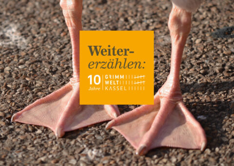 10 Jahre GRIMMWELT Kassel | Motiv Gans Gänsefüße